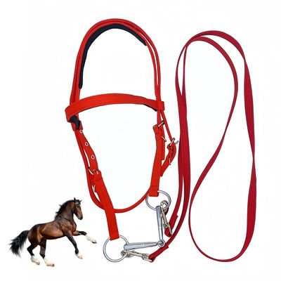 ZooVenture Halter et bride pour cheval