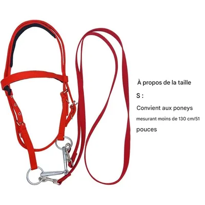 ZooVenture Halter et bride pour cheval