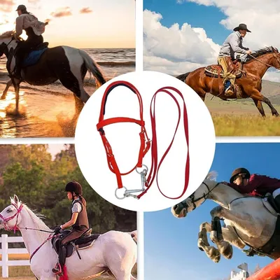 ZooVenture Halter et bride pour cheval