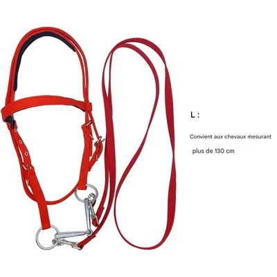 ZooVenture Halter et bride pour cheval