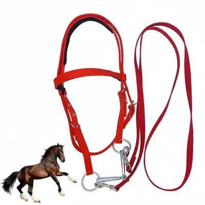 ZooVenture Halter et bride pour cheval