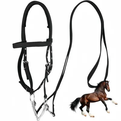 ZooVenture Halter et bride pour cheval