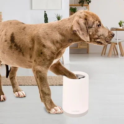 Zoomtopia Nettoyeur de pattes pour chien