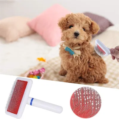 Pawzy Peigne pour animaux de compagnie