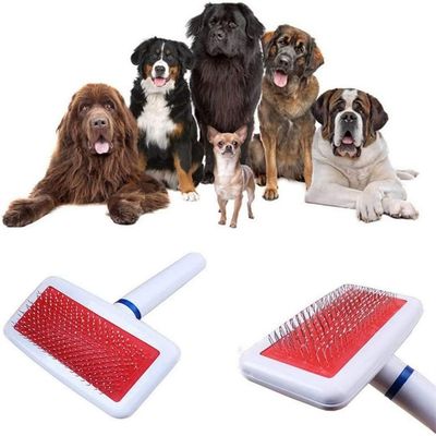 Pawzy Peigne pour animaux de compagnie