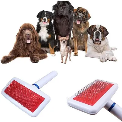 Pawzy Peigne pour animaux de compagnie