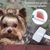 Pawzy Peigne pour animaux de compagnie