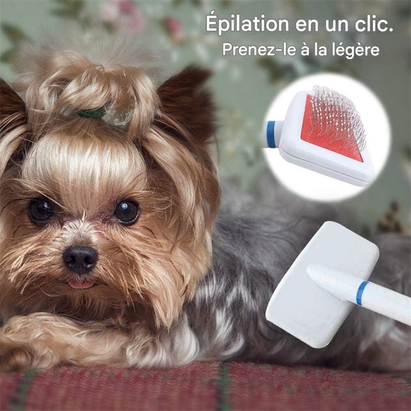 Pawzy Peigne pour animaux de compagnie