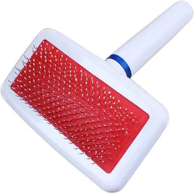 Pawzy Peigne pour animaux de compagnie