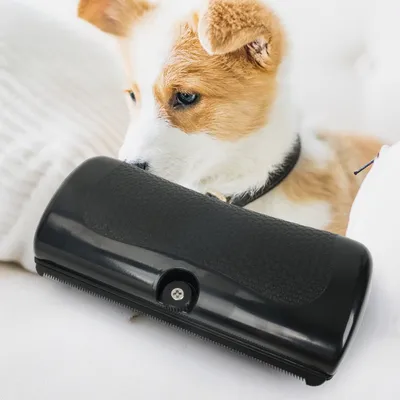 Zoomtopia Brosse pour chien