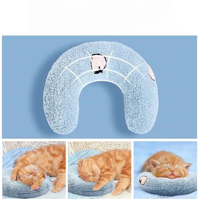 Zoomtopia Coussin en peluche pour chat et chiot