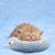 Zoomtopia Coussin en peluche pour chat et chiot