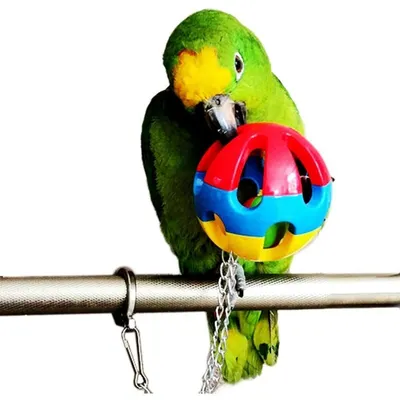 ZooVenture Conjunto de 3 juguetes de pájaros diferentes