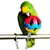 ZooVenture Ensemble de 3 jouets divers pour oiseaux