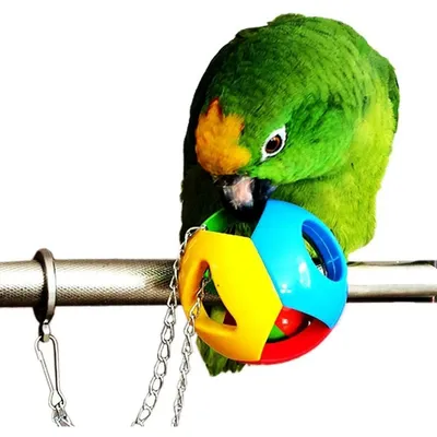 ZooVenture Conjunto de 3 juguetes de pájaros diferentes
