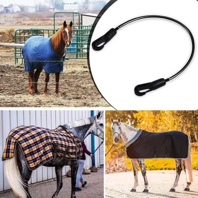 ZooVenture Lot de sangles de jambe pour chevaux