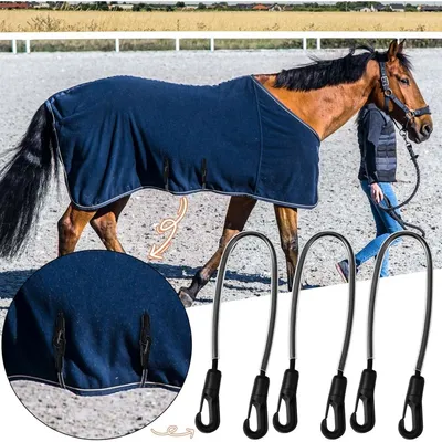 ZooVenture Lot de sangles de jambe pour chevaux