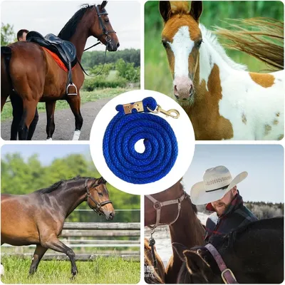 ZooVenture Corde d'entraînement 2m pour cheval