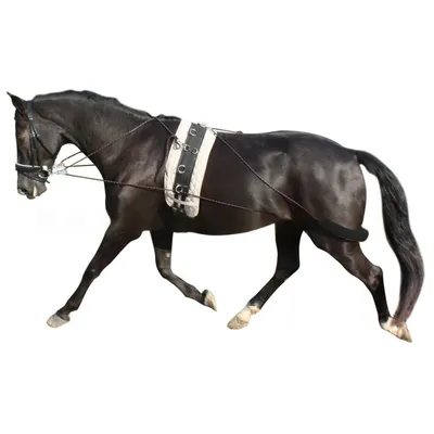 ZooVenture Lunging Aid pour cheval