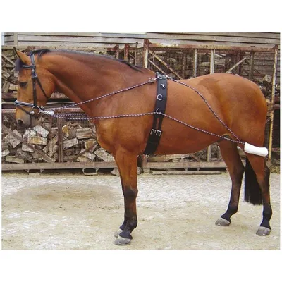 ZooVenture Lunging Aid pour cheval