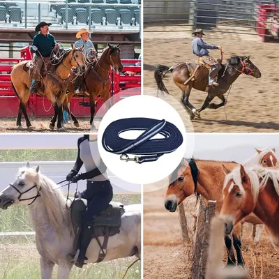 ZooVenture Corde d'entraînement pour chevaux