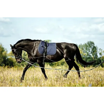 ZooVenture Corde d'entraînement pour chevaux