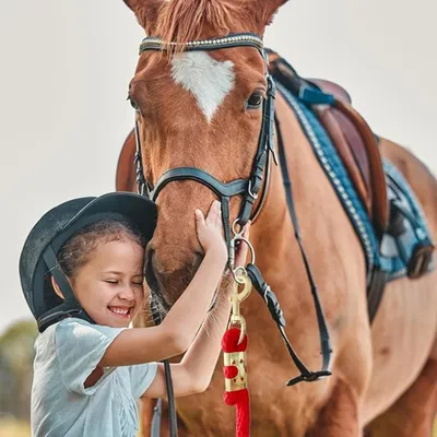 ZooVenture Corde d'entraînement 2m pour cheval