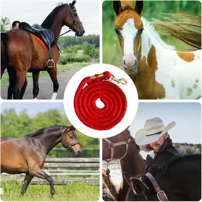 ZooVenture Corde d'entraînement 2m pour cheval