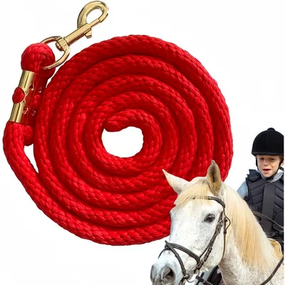 ZooVenture Corde d'entraînement 2m pour cheval