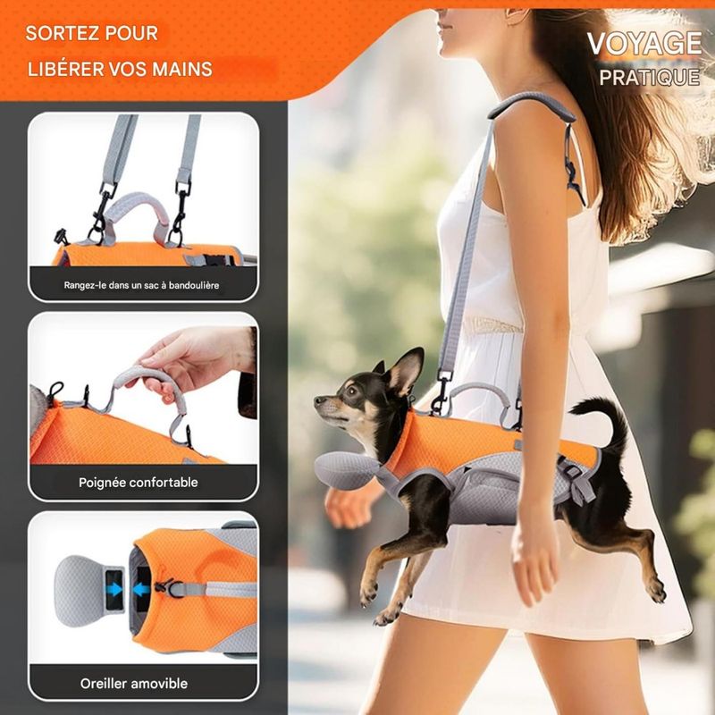 Zoomtopia Transporteur de hombro 2 en 1 pour chats et chiens