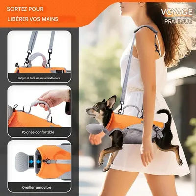 Zoomtopia Transporteur de hombro 2 en 1 pour chats et chiens