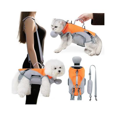 Zoomtopia Transporteur de hombro 2 en 1 pour chats et chiens