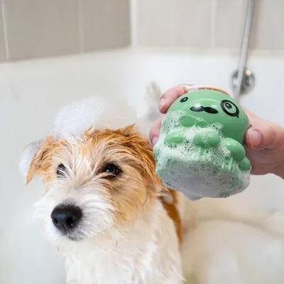 Pawzy Brosse toilettage chien - Pieuvre, épilation & massage (Vert)