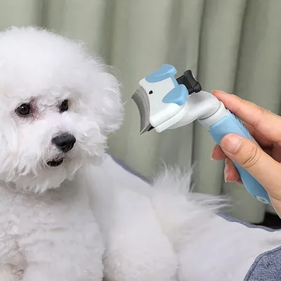 Pawzy Brosse chat – Démêlage rapide, nettoyage sans effort