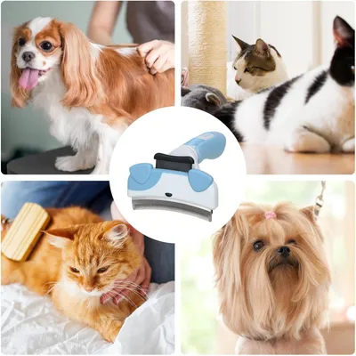 Pawzy Brosse chat – Démêlage rapide, nettoyage sans effort