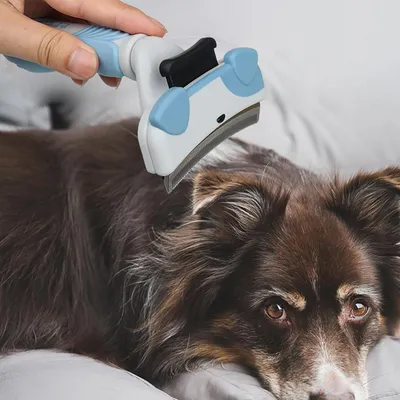 Pawzy Brosse chat – Démêlage rapide, nettoyage sans effort