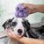 Pawzy Brosse toilettage chien - Pieuvre, épilation & massage (Violet)