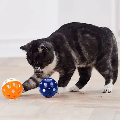 Pawzy 10 balles à grelot colorées pour chat (aléatoires)