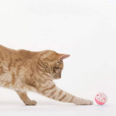 Pawzy 10 balles à grelot colorées pour chat (aléatoires)