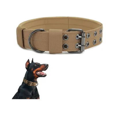 Pawzy Collier de dressage pour chien