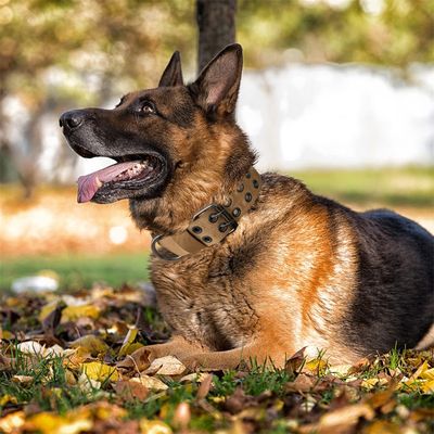 Pawzy Collier de dressage pour chien