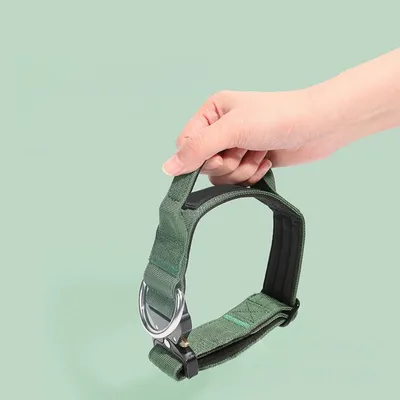 Zoomtopia Collier tactique pour chien