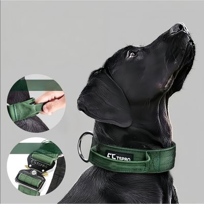 Zoomtopia Taktisches Hundehalsband