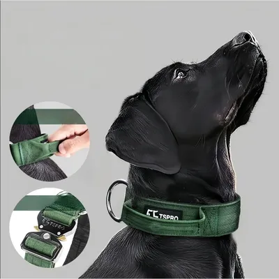 Zoomtopia Taktisches Hundehalsband
