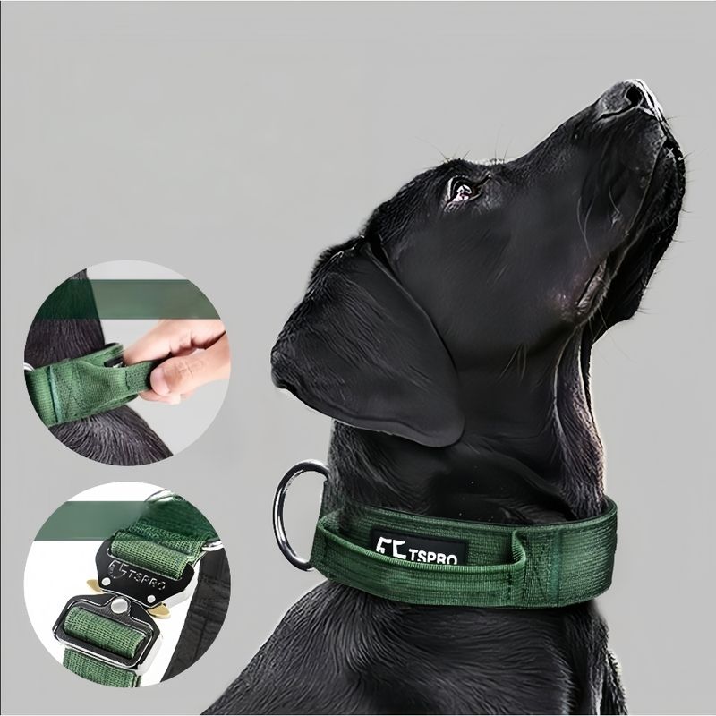 Zoomtopia Collier tactique pour chien