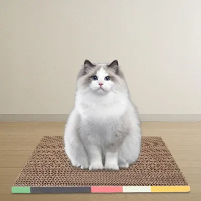 Pawzy Canapé à gratter carton pour chats