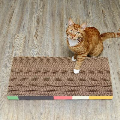 Pawzy Canapé à gratter carton pour chats