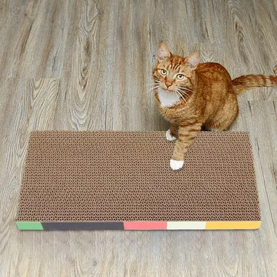 Pawzy Canapé à gratter carton pour chats