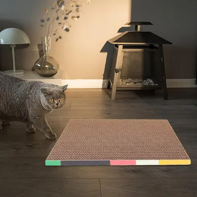 Pawzy Canapé à gratter carton pour chats