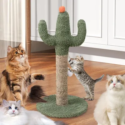 Pawzy Arbre à chat en sisal avec balle - Stable
